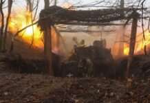 ЗСУ нещадно знищують штурмові групи РФ у Донецькій області (відео)