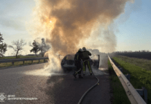 На трасі у Павлоградському районі спалахнула автівка
