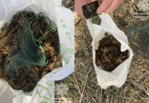 У Дніпрі водний патруль виявив браконьєра: подробиці