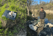 Завдав екосистемі держави збитків на понад 118 000 гривень: правоохоронці Запоріжжя викрили браконьєра