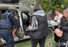 Евакуація триває: поліцейські вивезли дві родини з дітьми з Синельниківського району