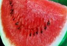 Як правильно обрати стиглий кавун: поради, які не дадуть прогавити справжній смак літа