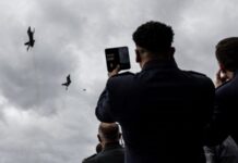 Нідерланди завершили надання Україні 24 винищувачів F-16 – Міноборони