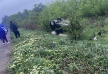 Одна загибла та троє постраждалих дітей: поліція відкрила кримінальне провадження за фактом смертельної ДТП