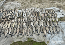 Незаконний улов майже на 350 тисяч гривень: поліція Дніпра виявила порушника