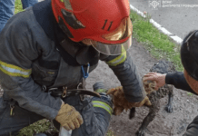 У Дніпрі поліцейські затримали підозрюваного у збуті наркотиків