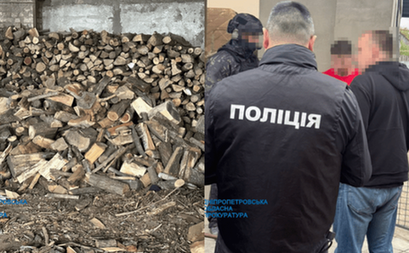 На Дніпропетровщині депутат організував масштабну вирубку лісу: деталі