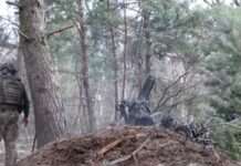 Генштаб прокоментував звільнення лісового масиву на Харківщині