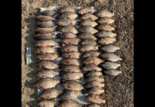 Правоохоронці Кам’янського задокументували факт незаконного вилову риби під час нересту