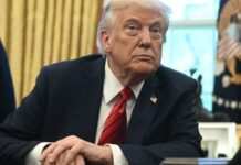 Трамп підписав указ про скорочення фінансування суспільних мовників NPR і PBS