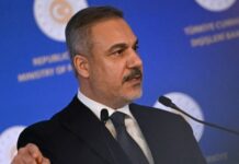 МЗС Туреччини підтвердило візит Фідана до України