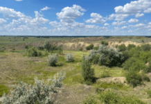 Прокуратура Дніпрпетровщини попередила вибуття понад 1270 га земель комунальної та державної власності