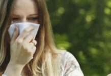 Літній виклик для алергіків: як боротися з тополиним пухом