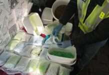 Понад 200 обшуків по Україні: правоохоронці повідомляють про викриття мережі нарколабораторій