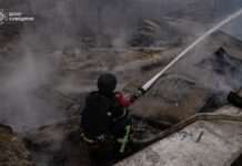 На Сумщині через удари РФ є руйнування, постраждали люди, загинули сотні свійських тварин – ОВА