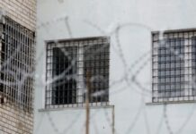 «Вясна»: в Білорусі 20 жінок позбавлені волі за допомогу політичним в’язням