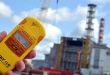 Радіації менше, ніж у природі: на чорнобильських землях знову можна вирощувати врожай