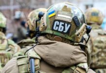 СБУ заявила, що попередила вбивство Стерненка, нападницю затримали