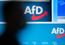 Берлін відреагував на заяву Рубіо про «Альтернативу для Німеччини»