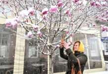 Заморозки посеред травня. Чим ще зіпсується погода в Україні 12 травня