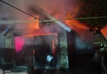 У Синельниківському районі вночі згорів гараж