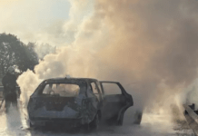 У Дніпропетровській області, посеред траси, загорівся автомобіль