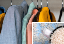 Рис у шафі: побутовий лайфхак із науковим підґрунтям