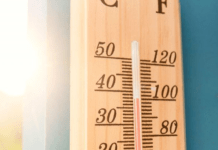 Чи буде влітку в Україні аномальна спека: синоптики дали прогноз