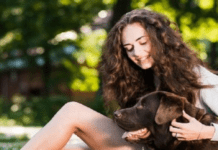 Собаки і людська мова: навіщо вони нахиляють голову, коли ми говоримо