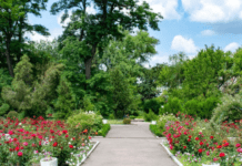 Розарій у Кам’янському – прикраса міста чи меморіал пам’яті: історія створення, символізм та сучасний стан