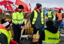 До 4 місяців блокування: польські перевізники готують протести на кордоні з Україною