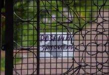 Розарій Камʼянського приведуть до ладу: відвідати можна буде вже 5 червня