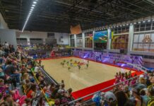 Камʼянська федерація черліденгу відзначила 15-річчя