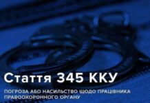 Вживали нецензурну лексику, порушували публічний порядок та побили патрульного: у Кривому Розі затримали двох молодиків