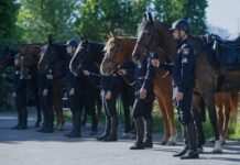 На вулицях України знову з’являться кінні патрулі: навіщо це потрібно