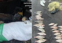 Водний патруль виявив на Дніпропетровщині ймовірних браконьєрів