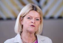 В Австрії заговорили про участь у миротворчій місії в Україні: що відомо