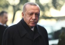 Ердоган: зустріч Путіна і Зеленського в Стамбулі могла бути історичним шансом