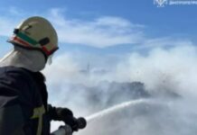 28 за добу: на Дніпропетровщині не вщухають пожежі в екосистемах