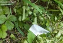 Велопатрульні Кривого Рогу виявили у чоловіка наркотичні речовини