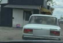 У Дніпрі виявили водіїв, які не мали права керувати автомобілем та ігнорували рішення суду