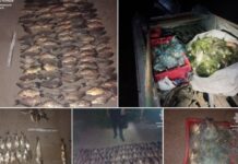Наловили риби на 380 тисяч гривень: патрульні Дніпра виявили рибалок-браконьєрів