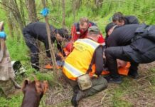 Пошуки тривали майже тиждень: у Дніпропетровській області зниклого пенсіонера знайшли живим