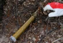 ДСНС: на Харківщині виявили й знешкодили два боєприпаси