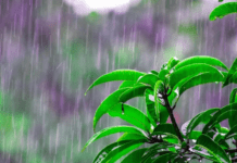 В Україну йде похолодання: у яких регіонах будуть грози та град