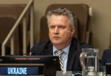 Кислиця розповів, як росіяни в Стамбулі видумали припинення вогню на 2-3 дні