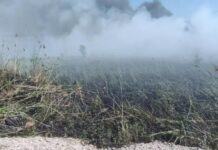 За минулу добу на території Запорізької області рятувальники ліквідували 12 пожеж в екосистемах