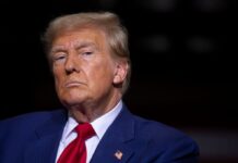 Чи може Трамп зустрітися із Зеленським і Путіним: що кажуть у Білому домі