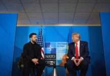 Зеленський підтвердив можливу розмову з Трампом