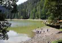 Чому не можна купатися в Синевирі: 5 причин, про які не всі знають